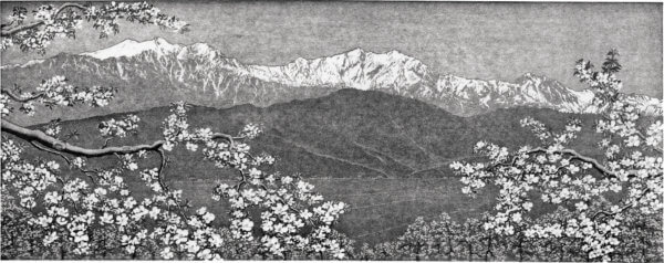 においあわしりんごの花（大町）爺ヶ岳、鹿島槍、五竜岳