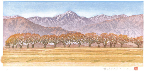 桜並木色づく頃（安曇野／堀金／烏川）常念岳